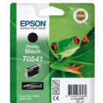 Tusz Epson oryginalny T0541  C13T05414010 | Stylus Photo R800 1800 | Photo Black